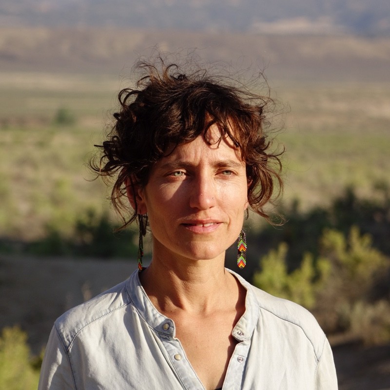 Lisa Gibson